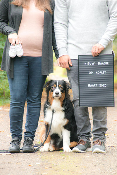familiefotografie gezinsfotografie